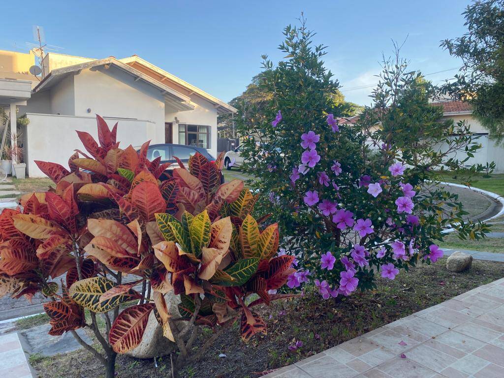 Casa à venda e aluguel com 4 quartos, 144m² - Foto 4