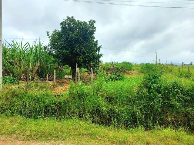 #8 - Área para Venda em Tremembé - SP